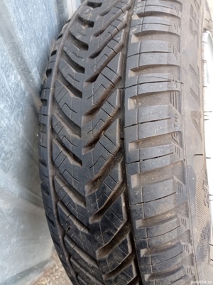 Roata complecta  - imagine 2