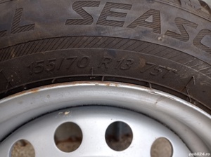 Roata complecta  - imagine 5