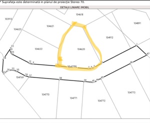 Teren intravilan ultracentral de vânzare 464 m2 in Talmaciu - imagine 3