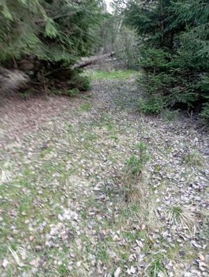 Vând teren pe Valea Dejani