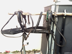 Hamuri pentru cai mari  - imagine 3