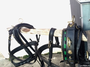 Hamuri pentru cai mari  - imagine 2