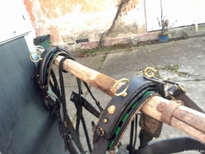 Hamuri pentru cai mari  - imagine 4