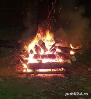 Tai lemne de foc cu drujba