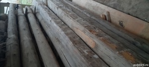 vand 33 bila lemn rotund uscat la 4,5m- 4.7m si altele - imagine 2