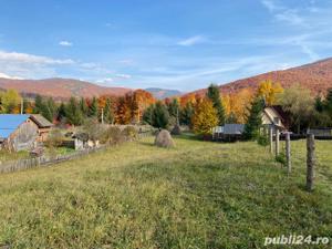 Proprietar vand teren intravilan in Valea Doftanei - imagine 3