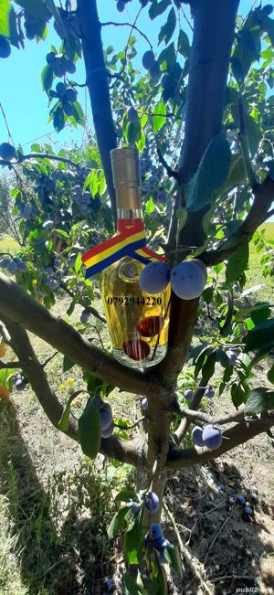 Sticla cu para wiliams - imagine 4