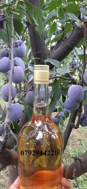 Palinca de:pere,mere,prune,caise,cirese,cirese amare,gutui,capsuni,