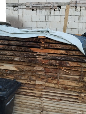 cherestea de stejar - imagine 2