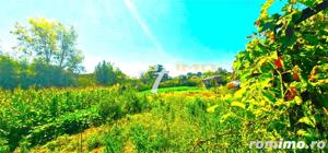 Teren 1486mp.D=50m.cu casa 3 camere locuibila, Tulcea-Somova-Mineri