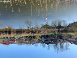 Teren  agricol și  de agrement cu iaz cu pește  intravilan  Dorohoi  - imagine 2