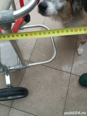 proteza veterinară  - imagine 2