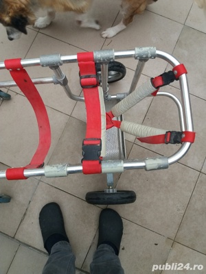 proteza veterinară  - imagine 4