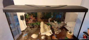 Acvariu pentru pesti - imagine 2