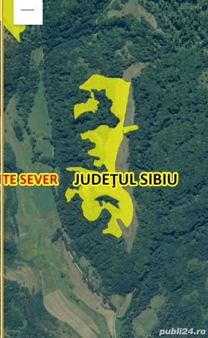 12.4 ha (124000 mp) teren agricol jud. Sibiu  - imagine 6