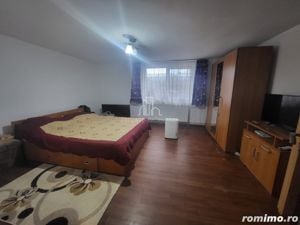 Casa de vanzare, 500Mp, Albesti, Mures - imagine 6