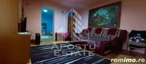 Vila 8 camere Lipova Valea Soimos - imagine 12