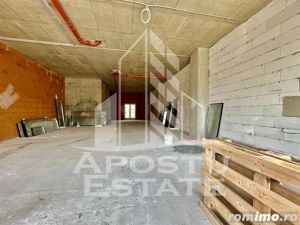 Spatiu comercial, 119 mp utili, zona Take Ionescu - imagine 1