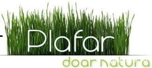 Angajam Gestionar materii prime, semifabricate si ambalaje