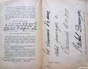 tratat practic de GRAFOLOGIE științifică de Mihail Negru 1942 - imagine 3