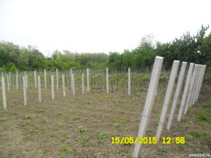 Spalieri beton Spalieri gard Spalieri vie Garduri beton Tuburi fantani Tuburi fose Tuburi podete. - imagine 4