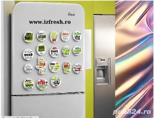 Magneti de frigider 20 buc = 104 ron
