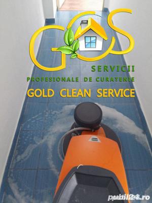 Curatenie mocheta tapiterie vitrine gresie-Pestam Servicii