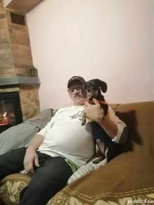 Seminee și coșuri - imagine 6