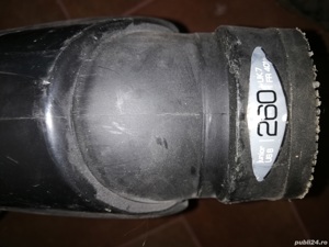 Clăpari alpina munari - imagine 2