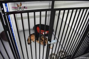 Kennel von Abgrund - Pet Sitting - Cazare Caini - imagine 10