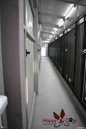 Kennel von Abgrund - Pet Sitting - Cazare Caini - imagine 7