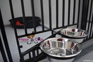 Kennel von Abgrund - Pet Sitting - Cazare Caini - imagine 6