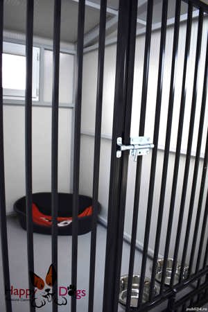 Kennel von Abgrund - Pet Sitting - Cazare Caini - imagine 4