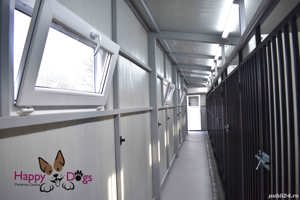 Kennel von Abgrund - Pet Sitting - Cazare Caini - imagine 8