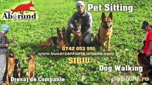 Kennel von Abgrund - Pet Sitting - Cazare Caini