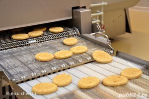 Mecanic mentenanță flux producție Oiejdea - imagine 3