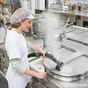 Aspirator curatare cu abur de inchiriat - imagine 3