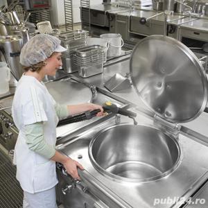 Aspirator curatare cu abur de inchiriat - imagine 5