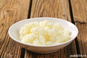 Ciupercă Tibetană de chefir  - imagine 2