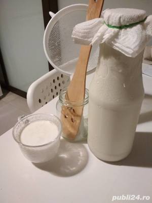 Ciupercă Tibetană de chefir  - imagine 3