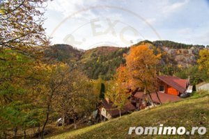 VANZARE / SCHIMB  PENSIUNE in zona de munte, langa Pestera Muierilor - imagine 4