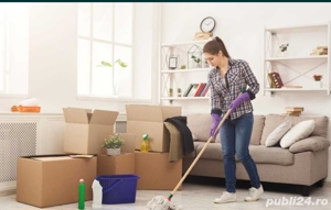 Servicii de curatenie și menaj.