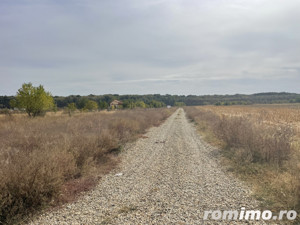 Domnești, Teghes, teren de 1000mp langa pădure, utilitati. - imagine 4