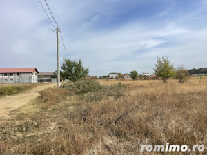 Domnești, Teghes, teren de 1000mp langa pădure, utilitati - imagine 2