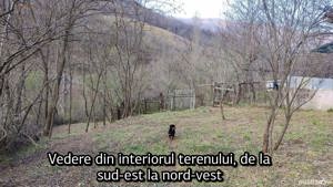 Proprietar vând teren intravilan 1491 mp Băile Herculane (Pecinișca-Păstrăvărie) la drum asfaltat  - imagine 3