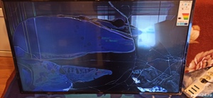 Placa T-con LG 43LK5900  - imagine 3