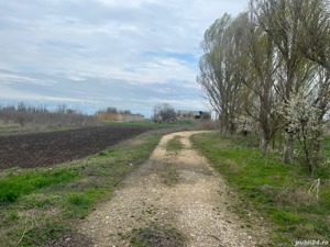 Vand proprietate agroindustriala în Jud Constanta - imagine 4