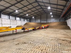 Banda transportoare cereale - imagine 3