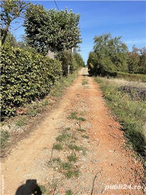 Vand teren intravilan (loc de casa) in tropinini -rasinari - imagine 1