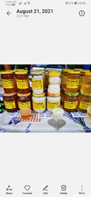 Miere 100%naturala - imagine 2